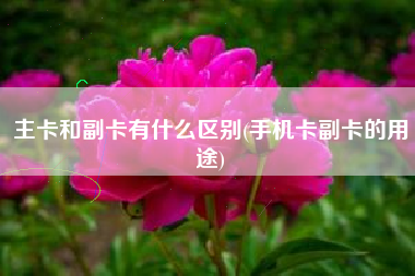 主卡和副卡有什么区别(手机卡副卡的用途)