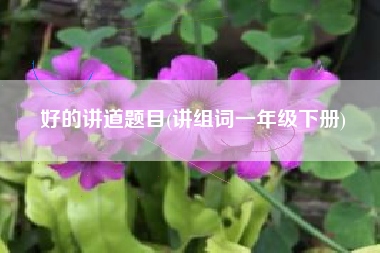 好的讲道题目(讲组词一年级下册)