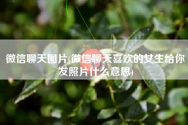 微信聊天图片(微信聊天喜欢的女生给你发照片什么意思)