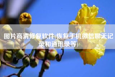 图片高清修复软件(恢复手机微信聊天记录和通讯录等)