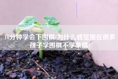 10分钟学会下围棋(为什么感觉现在很多孩子学围棋不学象棋)