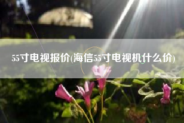 55寸电视报价(海信55寸电视机什么价)