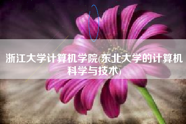 浙江大学计算机学院(东北大学的计算机科学与技术)