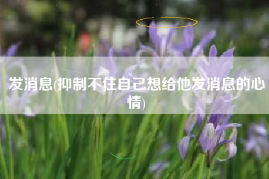 发消息(抑制不住自己想给他发消息的心情)