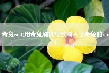 奇兔root(用奇兔刷机导致刷入了奇兔的rec)