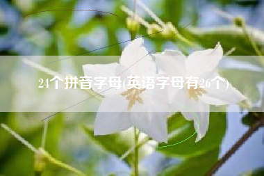 24个拼音字母(英语字母有26个)