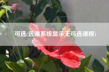 可选(选课系统显示无可选课程)