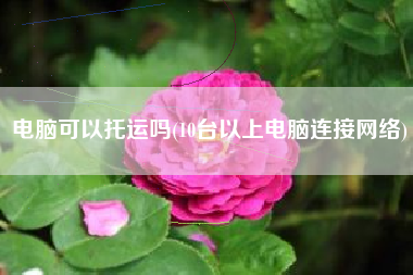 电脑可以托运吗(10台以上电脑连接网络)