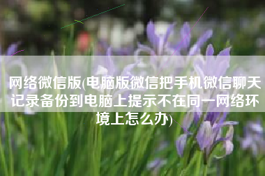 网络微信版(电脑版微信把手机微信聊天记录备份到电脑上提示不在同一网络环境上怎么办)