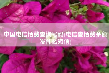 中国电信话费查询号码(电信查话费余额发什么短信)