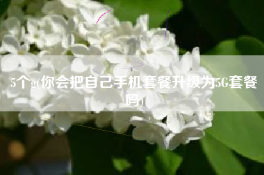 5个g(你会把自己手机套餐升级为5G套餐吗)