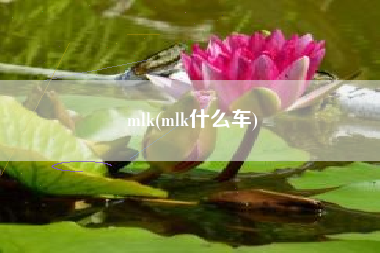 mlk(mlk什么车)