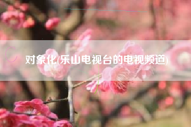 对象化(乐山电视台的电视频道)