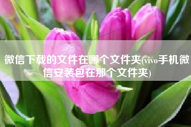 微信下载的文件在哪个文件夹(vivo手机微信安装包在那个文件夹)