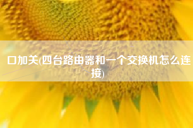 口加关(四台路由器和一个交换机怎么连接)