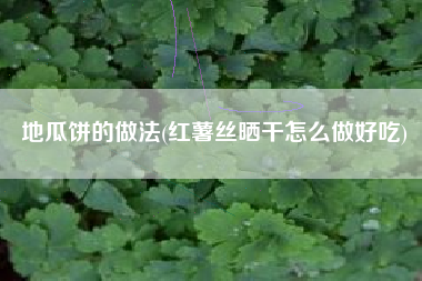 地瓜饼的做法(红薯丝晒干怎么做好吃)