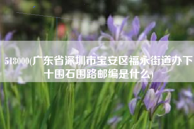 518000(广东省深圳市宝安区福永街道办下十围石围路邮编是什么)