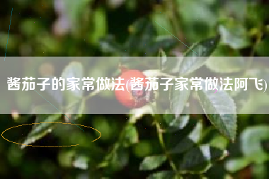 酱茄子的家常做法(酱茄子家常做法阿飞)