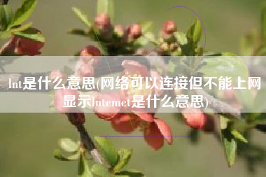 lnt是什么意思(网络可以连接但不能上网显示lntemet是什么意思)