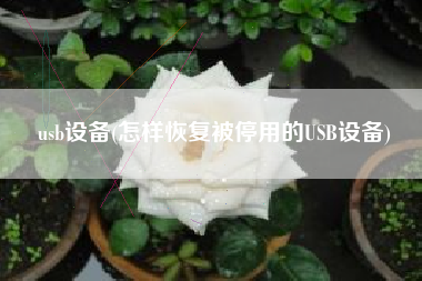 usb设备(怎样恢复被停用的USB设备)