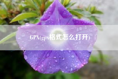 GPX(gpx格式怎么打开)