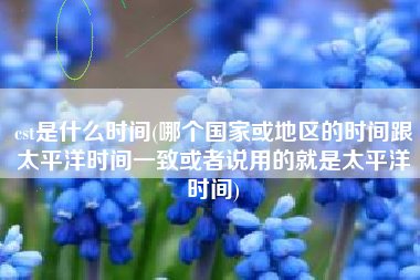 cst是什么时间(哪个国家或地区的时间跟太平洋时间一致或者说用的就是太平洋时间)