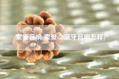 索爱音响(索爱s53蓝牙音响怎样)