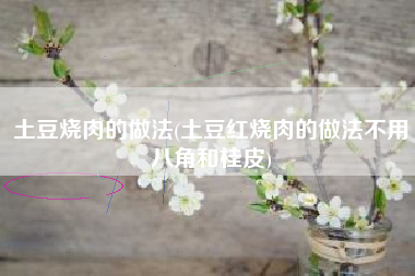 详细阅读:土豆烧肉的做法(土豆红烧肉的做法不用八角和桂皮) 土豆烧肉的做法(土豆红烧肉的做法不用八角和桂皮)