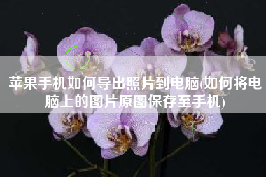 苹果手机如何导出照片到电脑(如何将电脑上的图片原图保存至手机)