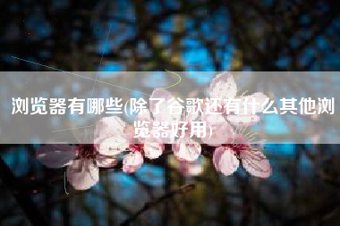 浏览器有哪些(除了谷歌还有什么其他浏览器好用)