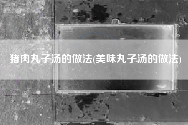 猪肉丸子汤的做法(美味丸子汤的做法)