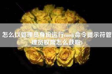 怎么以管理员身份运行cmd(命令提示符管理员权限怎么获取)