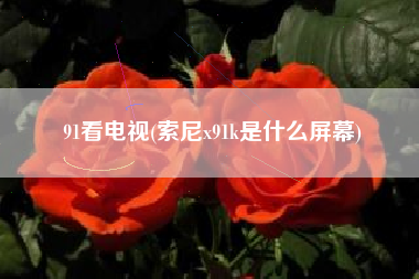 91看电视(索尼x91k是什么屏幕)