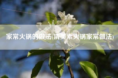 家常火锅的做法(清美素火锅家常做法)