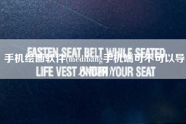 手机绘画软件(medibang手机端可不可以导入笔刷)