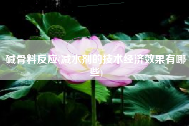 碱骨料反应(减水剂的技术经济效果有哪些)
