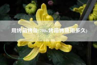 用烤箱烤鱼(700w烤箱烤鱼用多久)