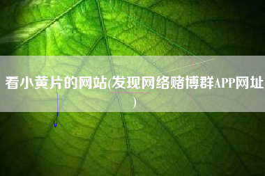 看小黄片的网站(发现网络赌博群APP网址)