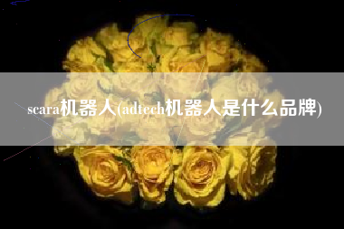 scara机器人(adtech机器人是什么品牌)