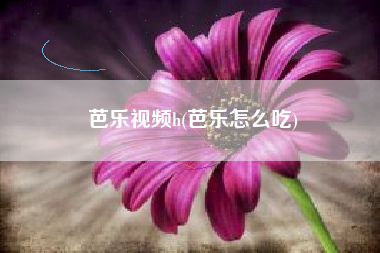 芭乐视频h(芭乐怎么吃)