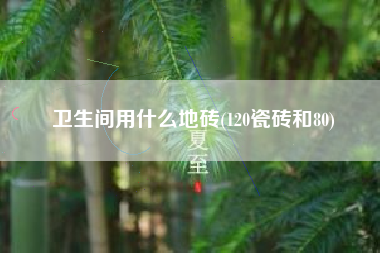 卫生间用什么地砖(120瓷砖和80)