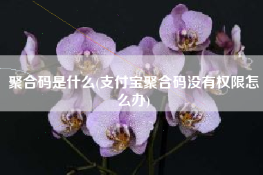 聚合码是什么(支付宝聚合码没有权限怎么办)