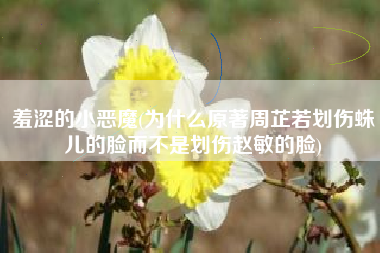 羞涩的小恶魔(为什么原著周芷若划伤蛛儿的脸而不是划伤赵敏的脸)