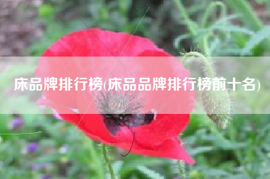 详细阅读:床品牌排行榜(床品品牌排行榜前十名) 床品牌排行榜(床品品牌排行榜前十名)