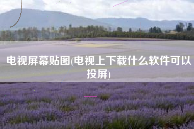 电视屏幕贴图(电视上下载什么软件可以投屏)