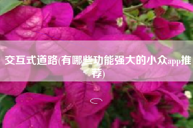 交互式道路(有哪些功能强大的小众app推荐)
