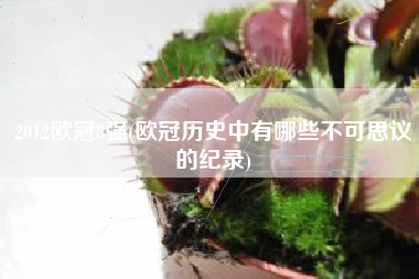 2012欧冠8强(欧冠历史中有哪些不可思议的纪录)