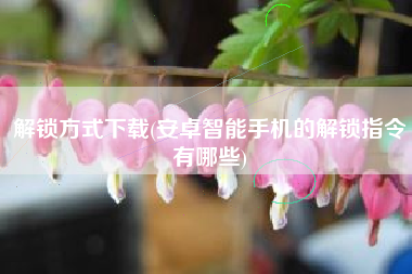 解锁方式下载(安卓智能手机的解锁指令有哪些)