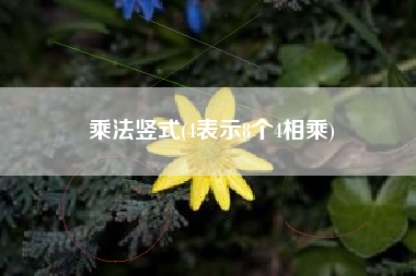 乘法竖式(4表示8个4相乘)