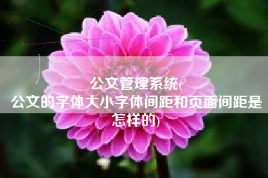 公文管理系统(
公文的字体大小字体间距和页面间距是怎样的) 公文管理系统(
公文的字体大小字体间距和页面间距是怎样的)